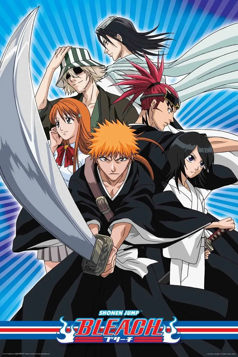 Bleach Anime Picture
